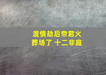 渡情劫后帝君火葬场了 十二非庭